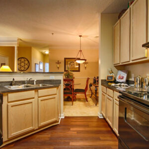 Open concept apartment with updated kitchen and wood floors - The Legends Apartments