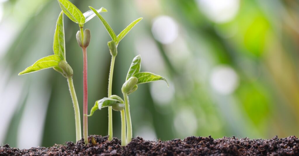 banner-2019-06-26T115421-014-5d13b1564f77c