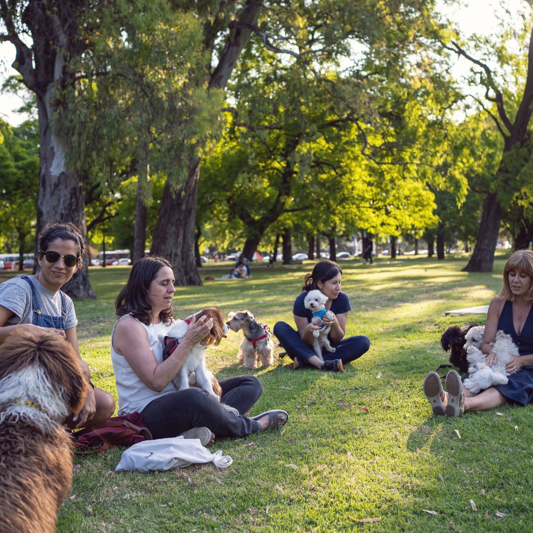 people sitting in the grass at a dog park