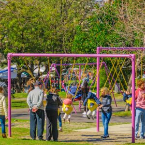 Families at a park