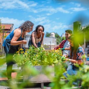 community garden