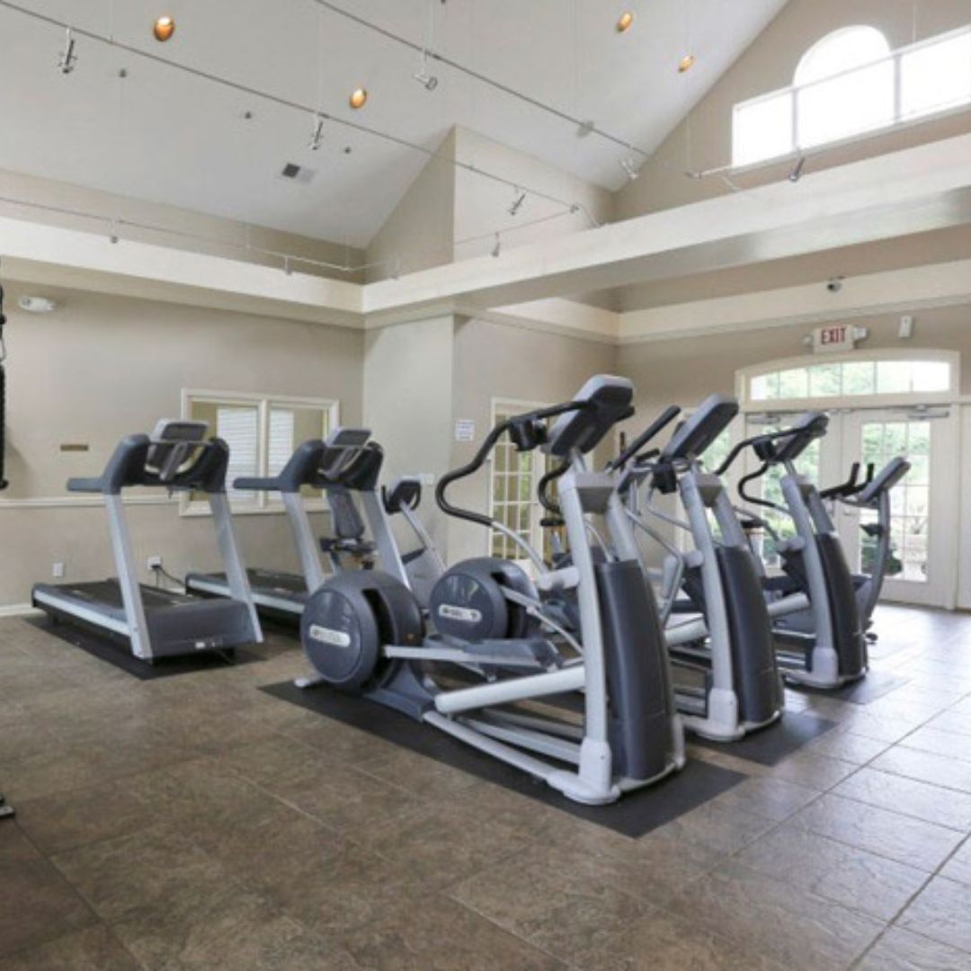 treadmills in gym