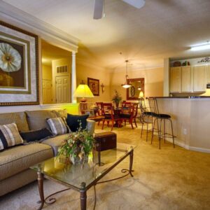 spacious luxury living room